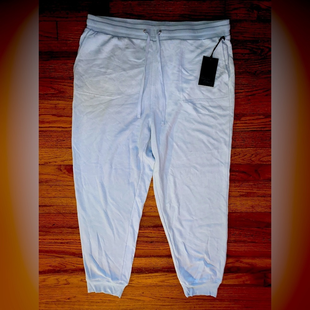 Jane and Delancey BNWT super soft baby blue jogger style sweats embroidery